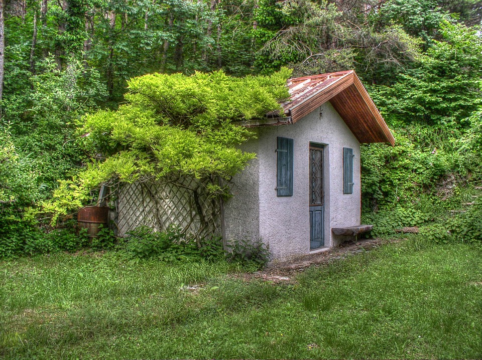 Small House in Grass